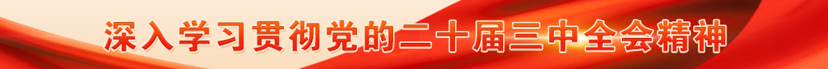 深入学习贯彻党的二十届三中全会精神
