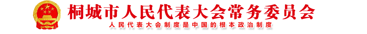 桐城市人民代表大会常委委员会