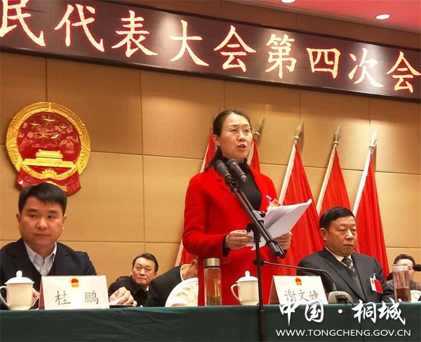 桐城市十六届人大四次会议胜利闭幕