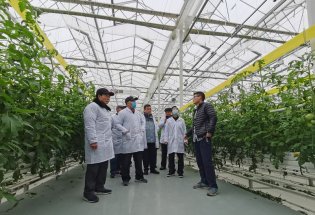 �������˴����о��ῼ������ͩ����